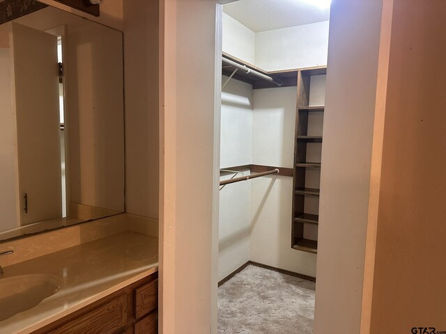 2203 S Williams Ave, Mount Pleasant, TX 75455 - walk in closet with a sink