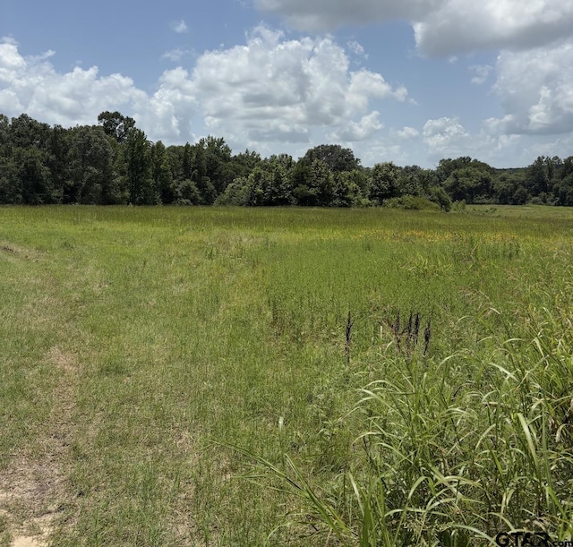 12101 Fm 838, Overton, TX 75684 - photo 3