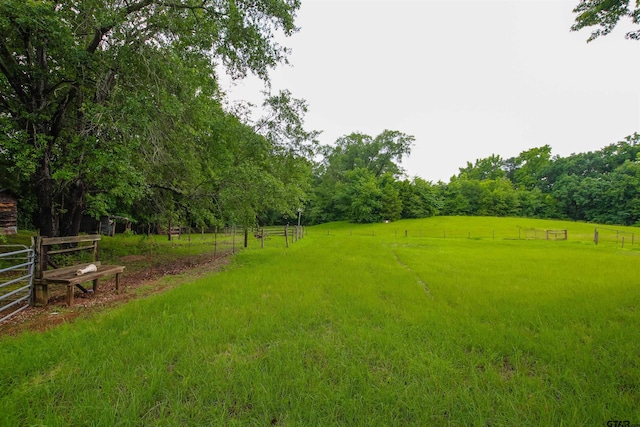 2391 Fm 16 W, Tyler, TX 75706 - view of yard with a view of countryside