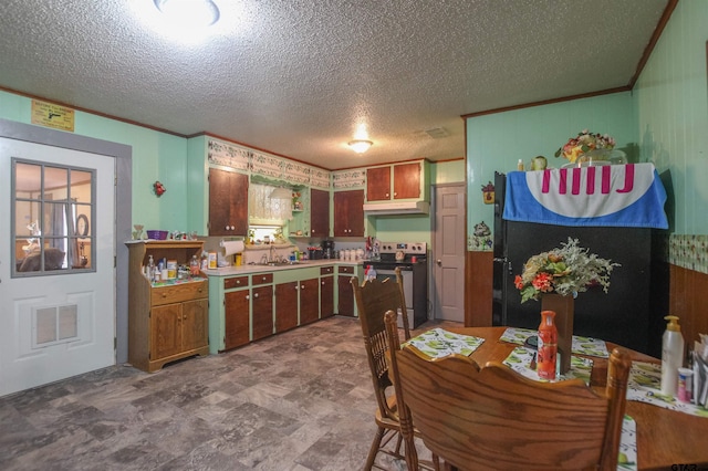 2391 Fm 16 W, Tyler, TX 75706 - kitchen featuring electric stove, a textured ceiling, a sink, under cabinet range hood, and ornamental molding