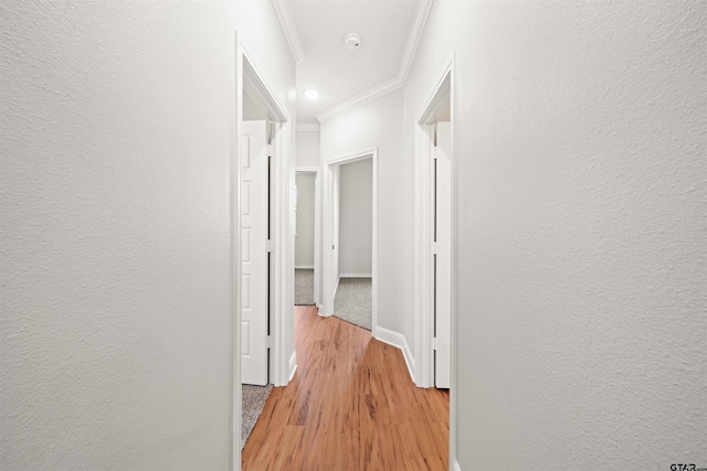 hall featuring light wood-type flooring and ornamental molding