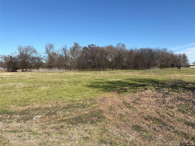 view of yard with a rural view