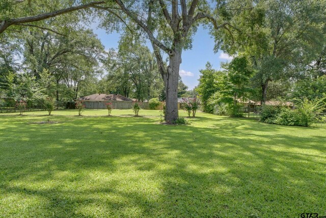 407 Gatewood Dr, Whitehouse, TX 75791 - photo 21