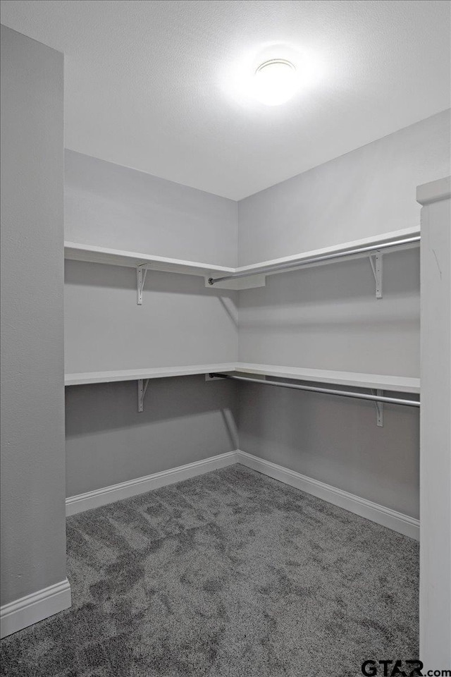 spacious closet featuring dark colored carpet