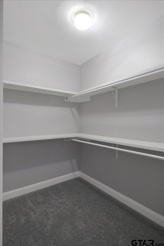 spacious closet featuring dark colored carpet