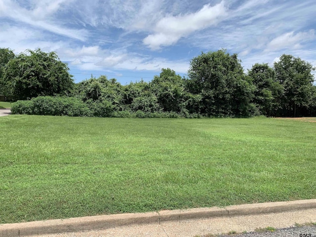 1001 Rico Dr, Athens, TX 75751 - photo 2