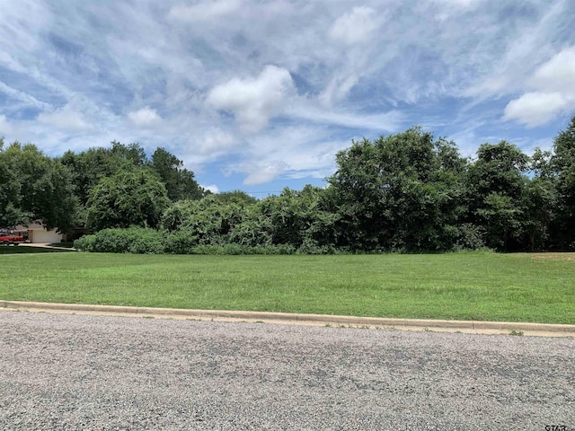 1001 Rico Dr, Athens, TX 75751 - photo 1
