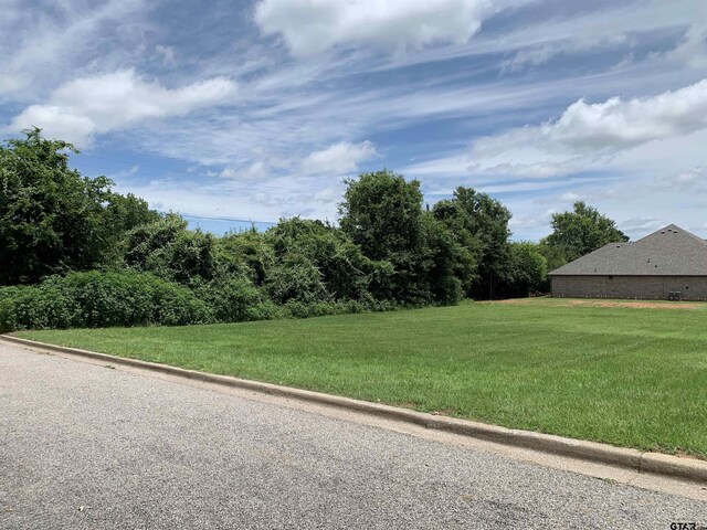 1001 Rico Dr, Athens, TX 75751 - photo 3