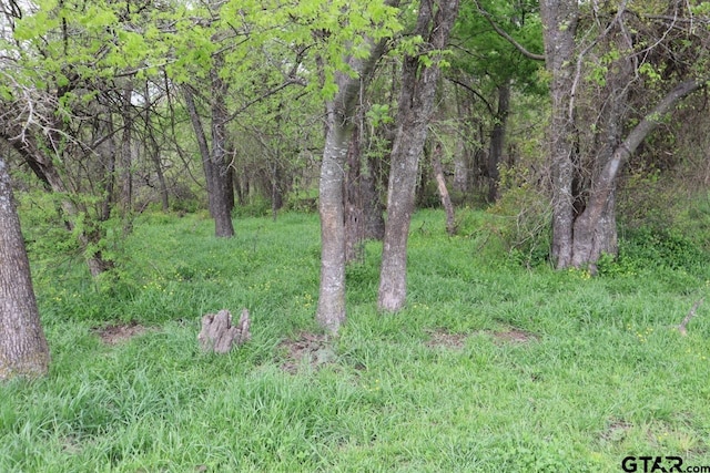 0 County Road 4764, Sulphur Springs, TX 75482 - photo 16