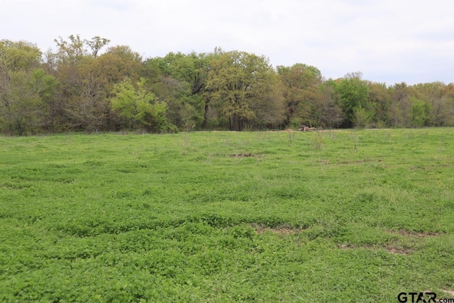 0 County Road 4764, Sulphur Springs, TX 75482 - photo 2