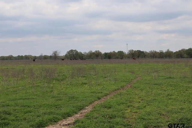 0 County Road 4764, Sulphur Springs, TX 75482 - photo 19