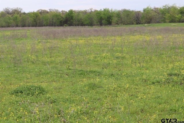 0 County Road 4764, Sulphur Springs, TX 75482 - photo 13