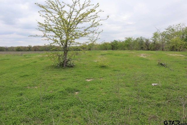 0 County Road 4764, Sulphur Springs, TX 75482 - photo 9