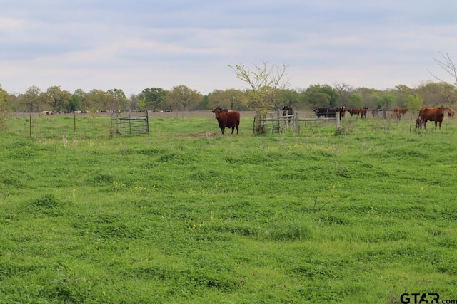 0 County Road 4764, Sulphur Springs, TX 75482 - photo 25