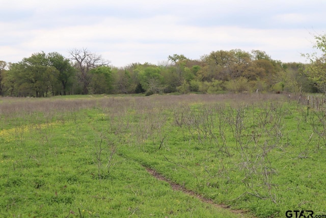 0 County Road 4764, Sulphur Springs, TX 75482 - photo 17