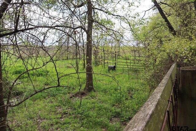 0 County Road 4764, Sulphur Springs, TX 75482 - photo 23