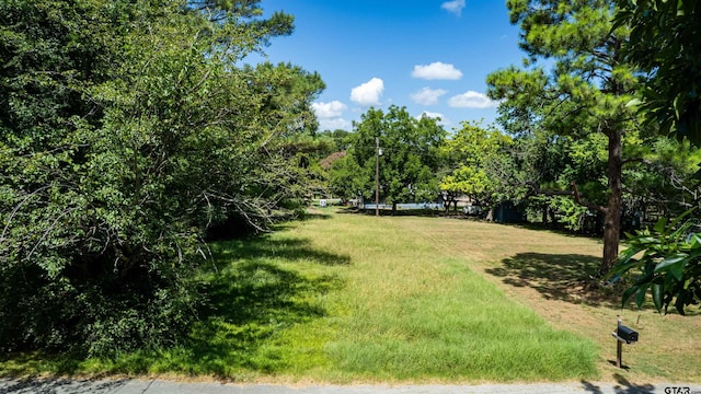 LOT331 Clower Ct, East Tawakoni, TX 75472 - photo 6