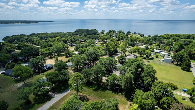 LOT331 Clower Ct, East Tawakoni, TX 75472 - photo 9