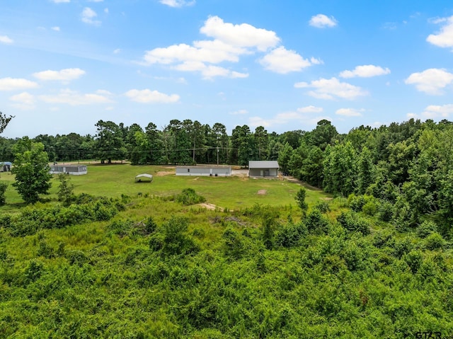 12524 Fm 2088, Pittsburg, TX 75686 - photo 39