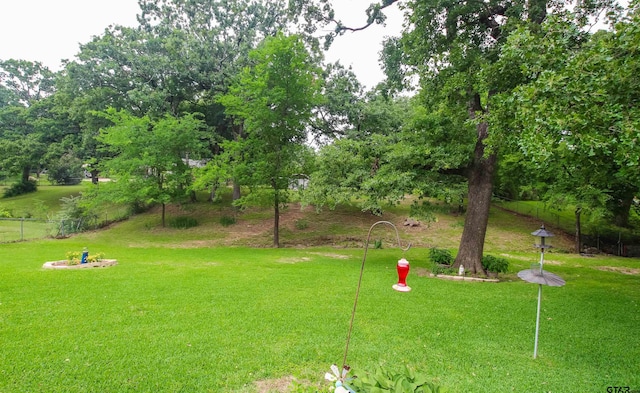 107 Clover Dr, Gun Barrel City, TX 75156 - view of yard