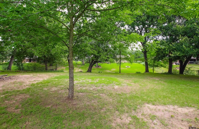 107 Clover Dr, Gun Barrel City, TX 75156 - view of yard