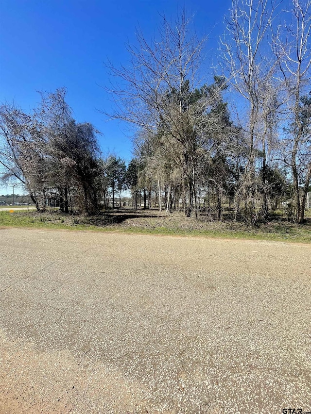 Listing photo 3 for 121 W Royal Dr, Bullard TX 75757