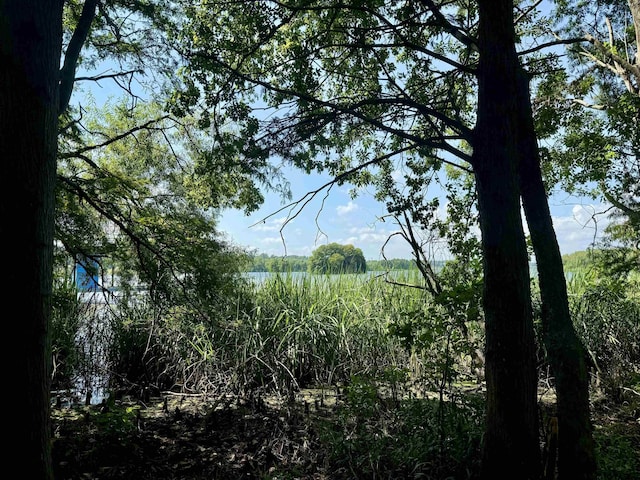 LOT340 Grand View Dr, Athens, TX 75751 - photo 23