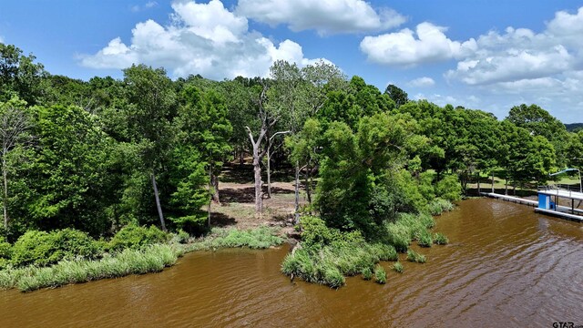 LOT340 Grand View Dr, Athens, TX 75751 - photo 9