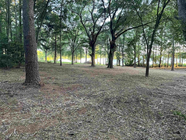 LOT340 Grand View Dr, Athens, TX 75751 - photo 19