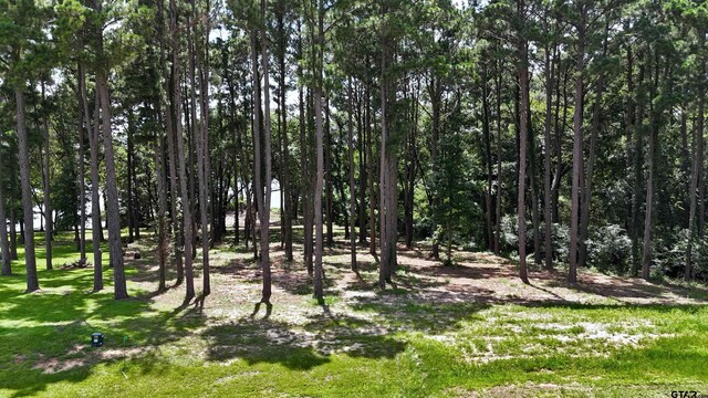 LOT340 Grand View Dr, Athens, TX 75751 - photo 4
