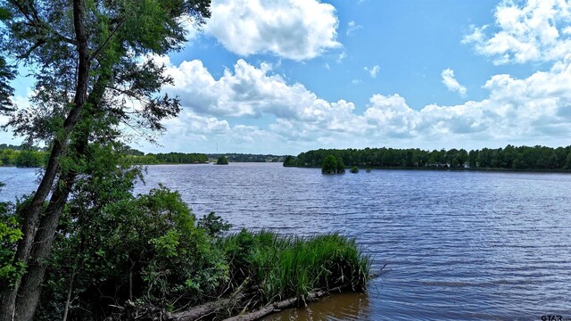 LOT340 Grand View Dr, Athens, TX 75751 - photo 1