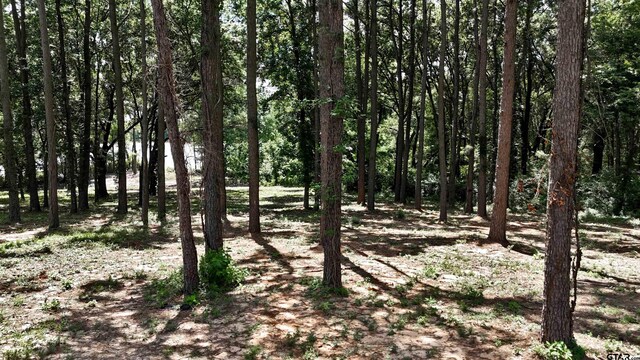 LOT340 Grand View Dr, Athens, TX 75751 - photo 5