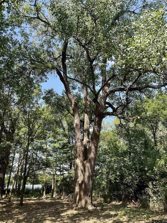 LOT340 Grand View Dr, Athens, TX 75751 - photo 21