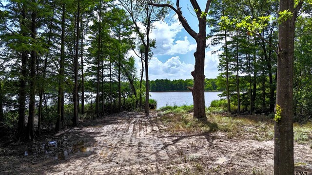 LOT340 Grand View Dr, Athens, TX 75751 - photo 8