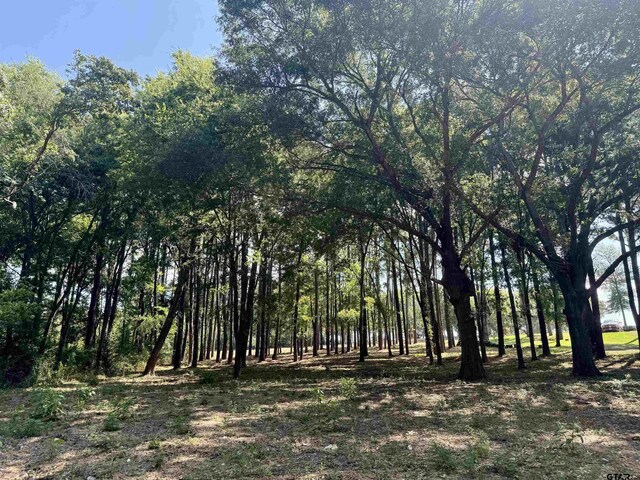 LOT340 Grand View Dr, Athens, TX 75751 - photo 22