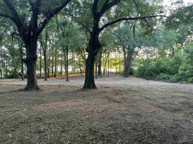 LOT340 Grand View Dr, Athens, TX 75751 - photo 18