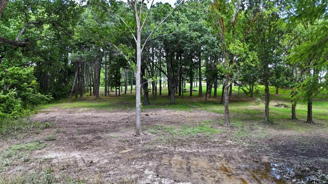 LOT340 Grand View Dr, Athens, TX 75751 - photo 7