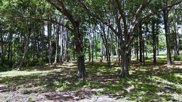 LOT340 Grand View Dr, Athens, TX 75751 - photo 6