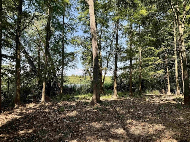 LOT340 Grand View Dr, Athens, TX 75751 - photo 24