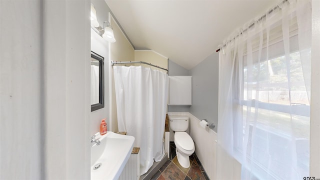 bathroom featuring toilet and vaulted ceiling