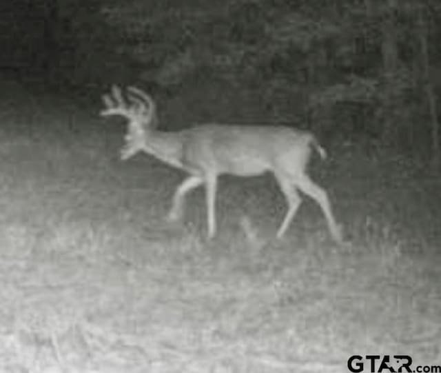 TBD Cr 2126, Rusk, TX 75785 - photo 2