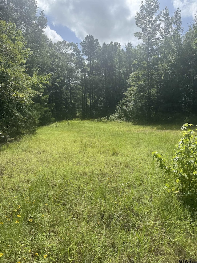 TBD Cr 2126, Rusk, TX 75785 - photo 1