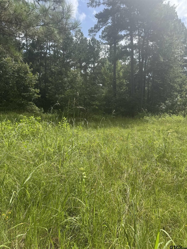 TBD Cr 2126, Rusk, TX 75785 - photo 22