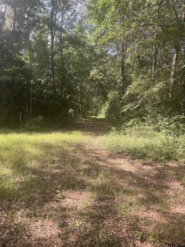 TBD Cr 2126, Rusk, TX 75785 - photo 11