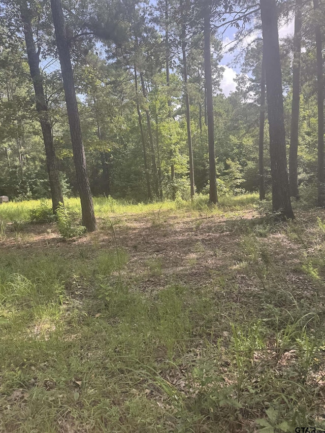 TBD Cr 2126, Rusk, TX 75785 - photo 15