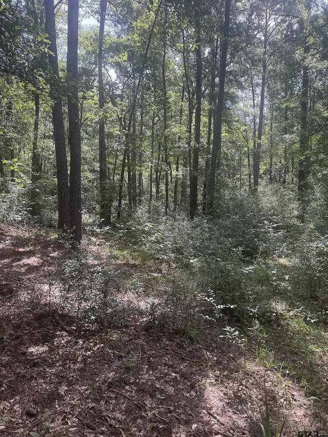 TBD Cr 2126, Rusk, TX 75785 - photo 6