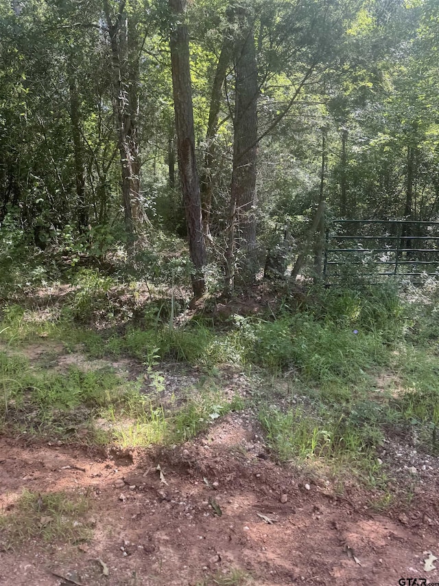 TBD Cr 2126, Rusk, TX 75785 - photo 3
