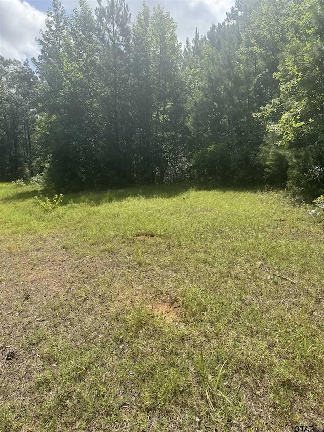 TBD Cr 2126, Rusk, TX 75785 - photo 14
