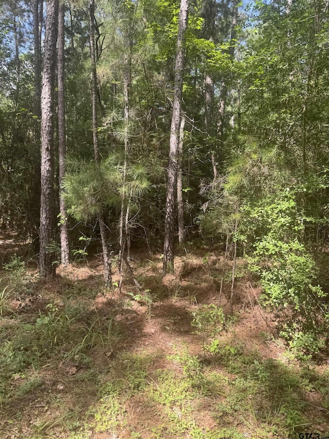 TBD Cr 2126, Rusk, TX 75785 - photo 26