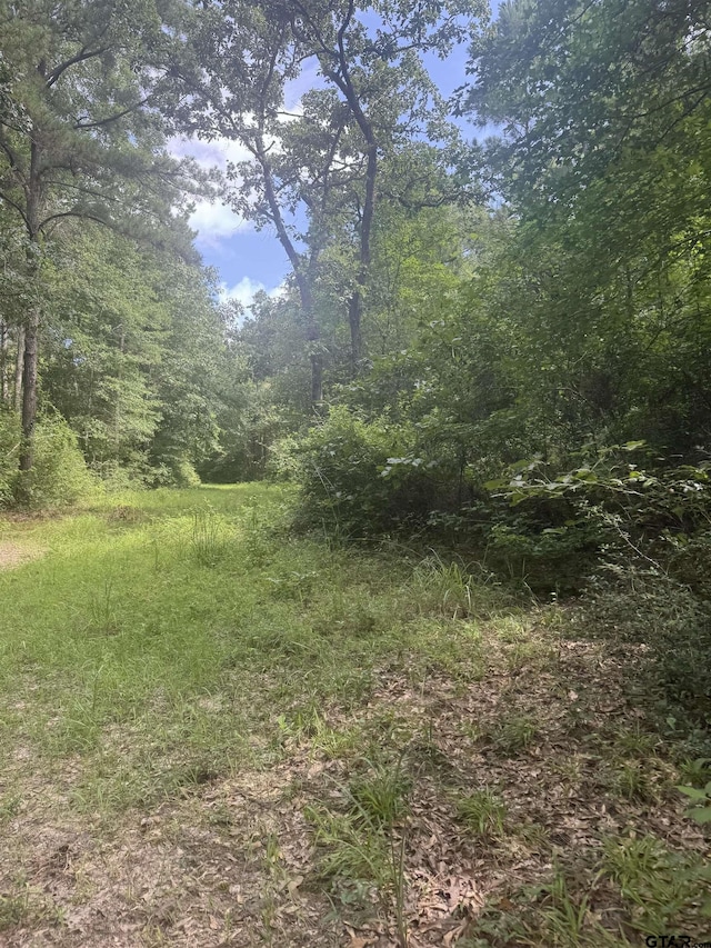 TBD Cr 2126, Rusk, TX 75785 - photo 24